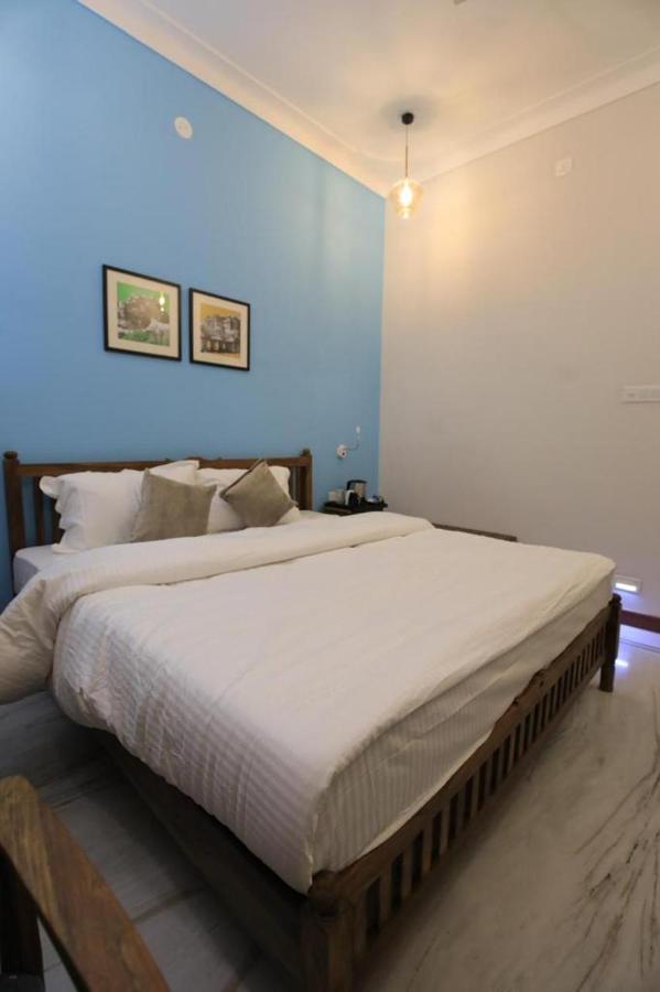 Dheergarh Palace Udaipur Eksteriør billede